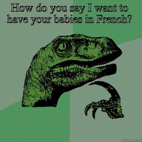 HOW DO YOU SAY I WANT TO HAVE YOUR BABIES IN FRENCH?  Philosoraptor