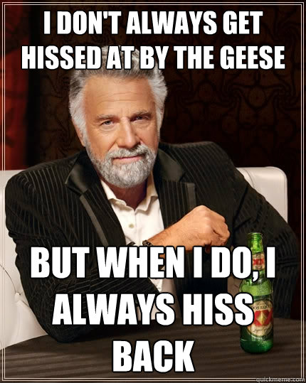 I don't always get hissed at by the geese But when I do, I always hiss back  The Most Interesting Man In The World