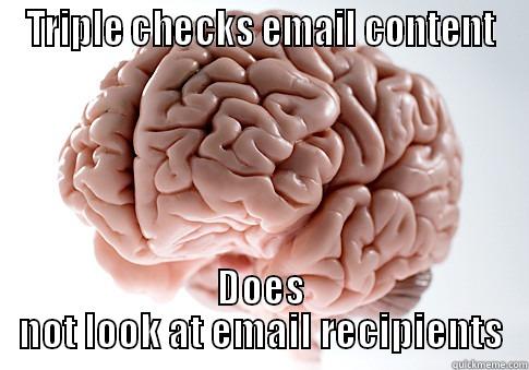 TRIPLE CHECKS EMAIL CONTENT DOES NOT LOOK AT EMAIL RECIPIENTS Scumbag Brain