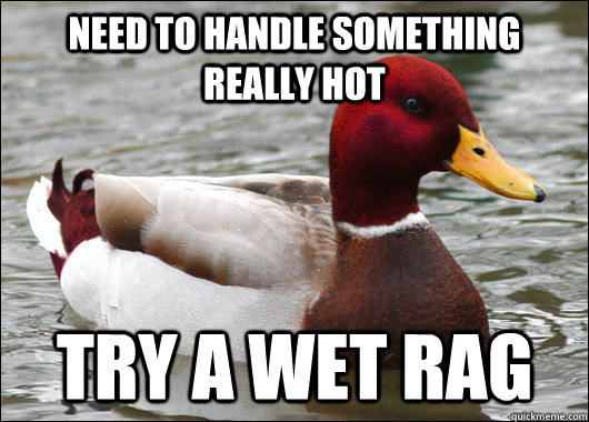 Need to handle something really hot try a wet rag  Malicious Advice Mallard