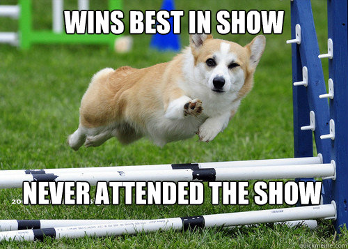 Wins best in show Never attended the show  Ridiculously Photogenic Dog