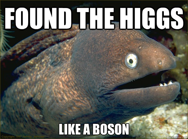 Found the higgs like a boson  Bad Joke Eel