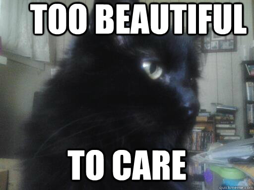 too beautiful  to care  