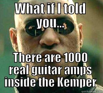 Tube Amplifier Extinction Alert Message - WHAT IF I TOLD YOU... THERE ARE 1000 REAL GUITAR AMPS INSIDE THE KEMPER Matrix Morpheus