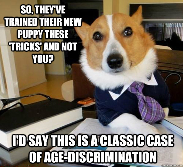 So, they've trained their new puppy these 'tricks' and not you? I'd say this is a classic case of age-discrimination - So, they've trained their new puppy these 'tricks' and not you? I'd say this is a classic case of age-discrimination  Lawyer Dog