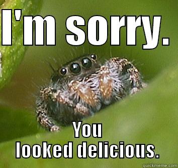 I'M SORRY.  YOU LOOKED DELICIOUS. Misunderstood Spider