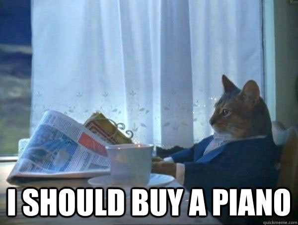  I should buy a piano  morning realization newspaper cat meme