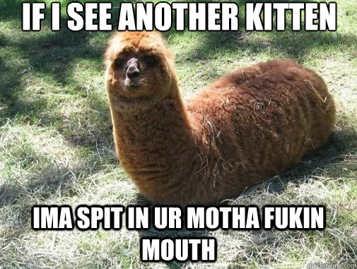 IF I SEE ANOTHER KITTEN IMA SPIT IN UR MOTHA FUKIN MOUTH - IF I SEE ANOTHER KITTEN IMA SPIT IN UR MOTHA FUKIN MOUTH  Alpacapillar