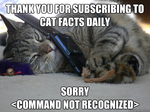 Thank you for subscribing to cat facts daily Sorry
<command not recognized> - Thank you for subscribing to cat facts daily Sorry
<command not recognized>  Indifferent Cat Facts Employee
