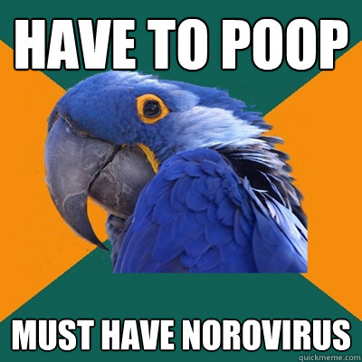 Have to poop Must have norovirus  Paranoid Parrot
