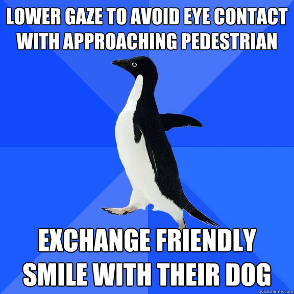 Lower gaze to avoid eye contact with approaching pedestrian Exchange friendly smile with their dog  Socially Awkward Penguin