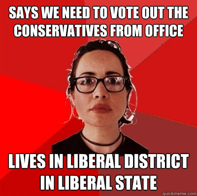 Says we need to vote out the conservatives from office Lives in liberal district in liberal State  Liberal Douche Garofalo