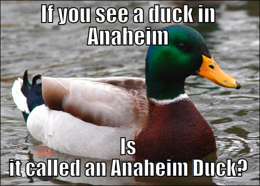 IF YOU SEE A DUCK IN ANAHEIM IS IT CALLED AN ANAHEIM DUCK? Actual Advice Mallard