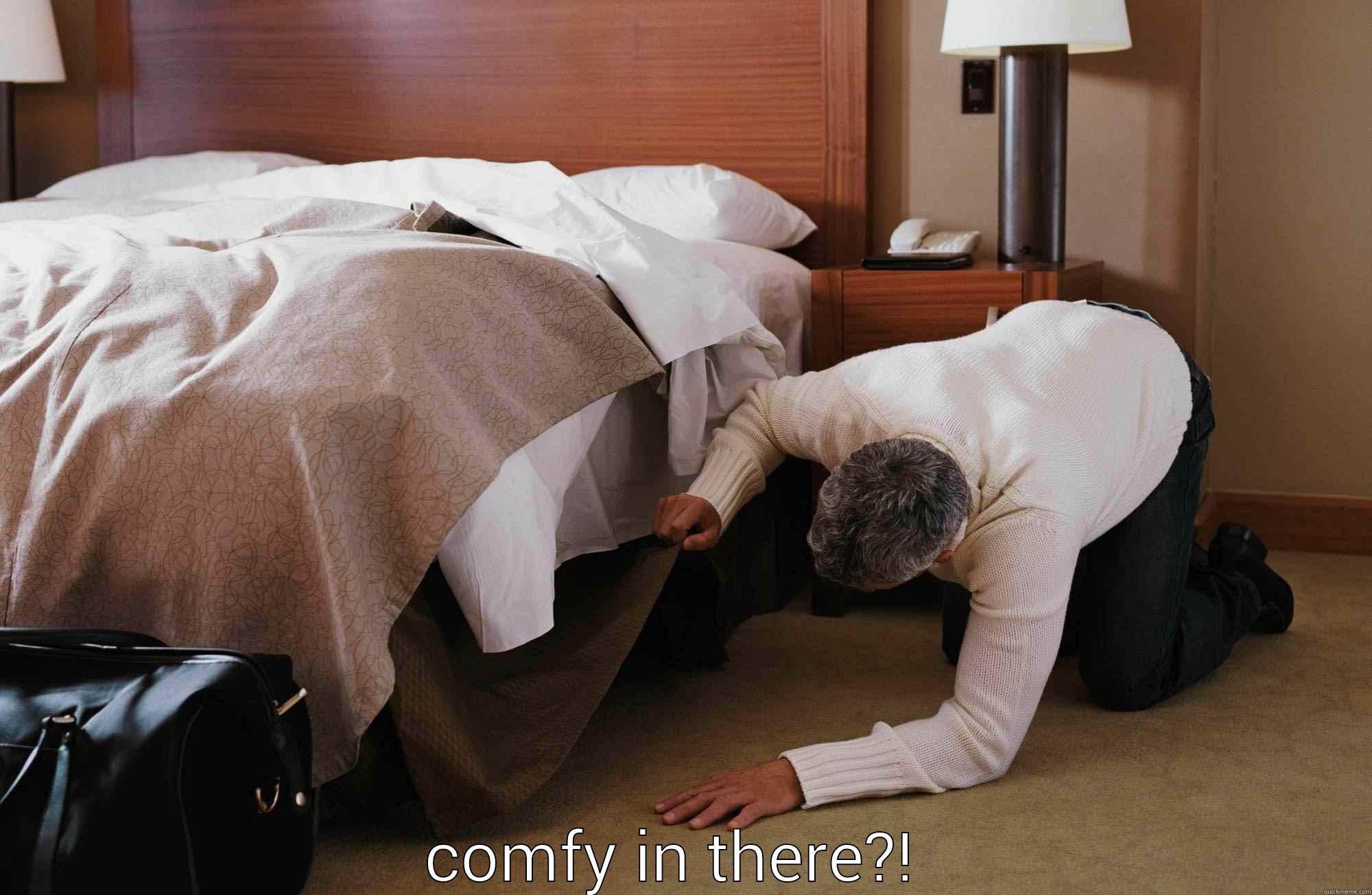  COMFY IN THERE?!  Misc