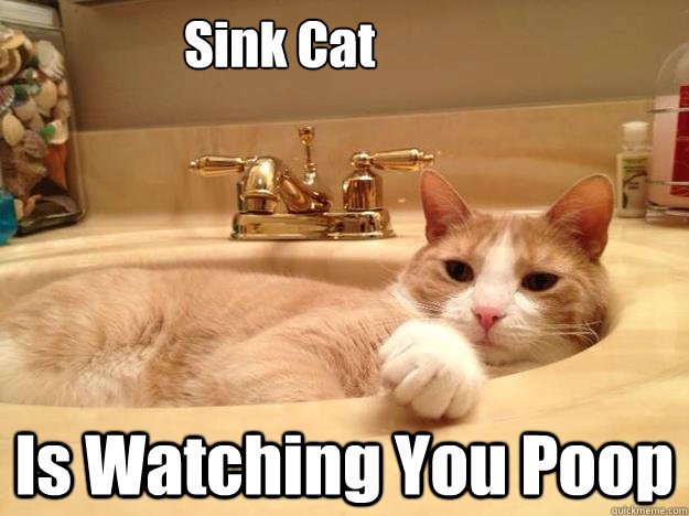 Sink Cat Is Watching You Poop - Sink Cat Is Watching You Poop  Dale