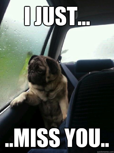 i just... ..miss you.. - i just... ..miss you..  Introspective Pug