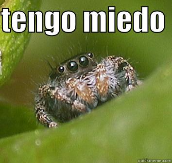 tengo miedo - TENGO MIEDO   Misunderstood Spider