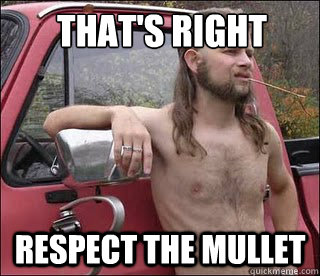That's right respect the mullet  racist redneck