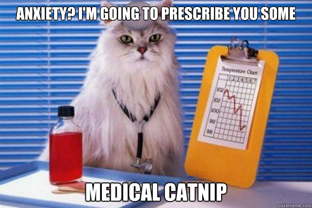 anxiety? i'm going to prescribe you some medical catnip  Doctor Cat