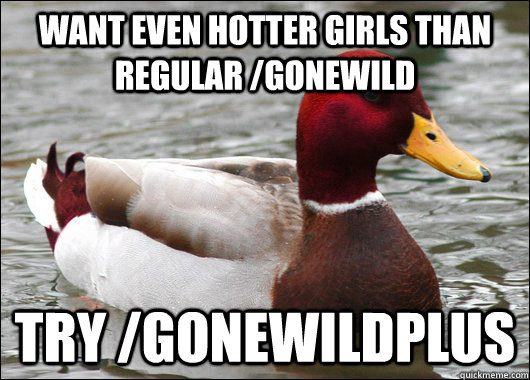 Want even hotter girls than regular /gonewild try /gonewildplus  Malicious Advice Mallard