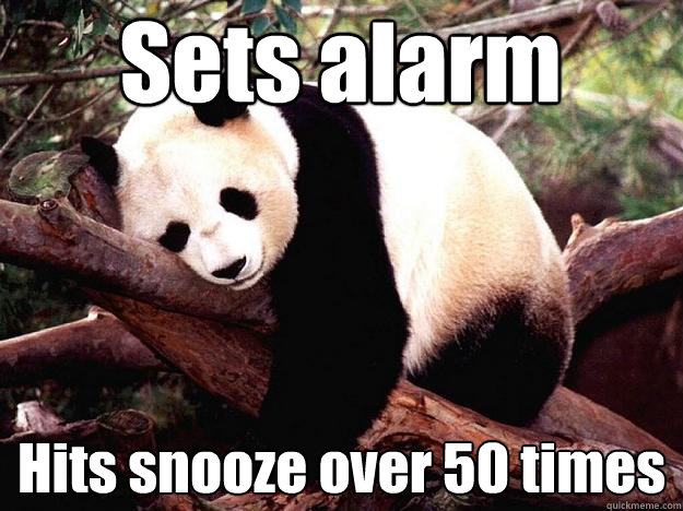 Sets alarm Hits snooze over 50 times - Sets alarm Hits snooze over 50 times  Procrastination Panda