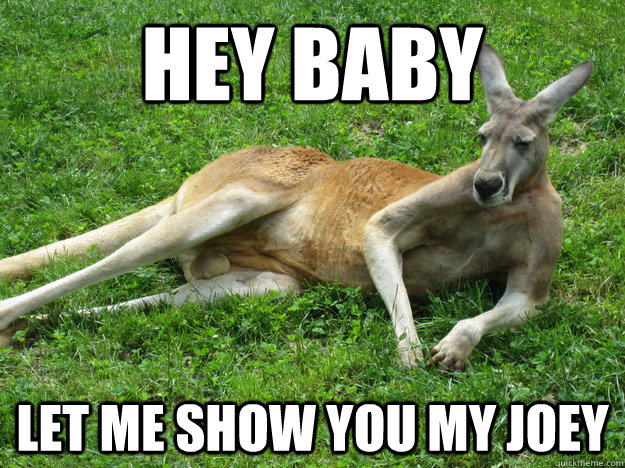 Hey Baby Let me show you my joey - Sexy Kangaroo - quickmeme.