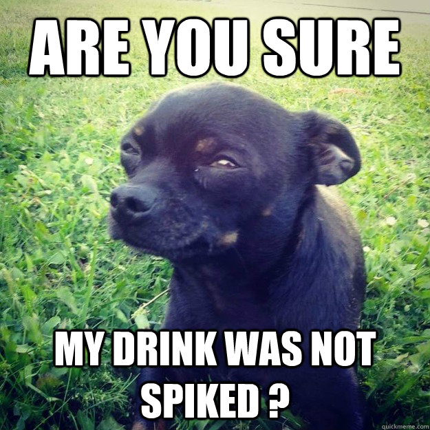Are you SURE my drink was not spiked ? - Are you SURE my drink was not spiked ?  Skeptical Dog