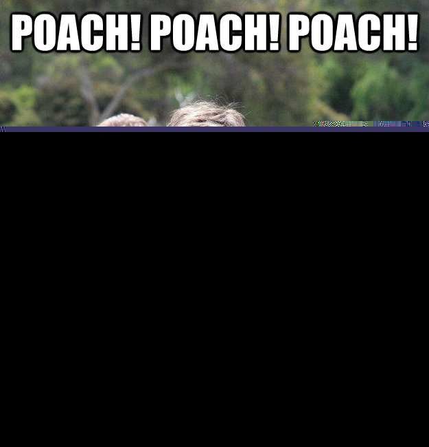 Poach! poach! poach! Isn't poached  Intermediate Male Ultimate Player