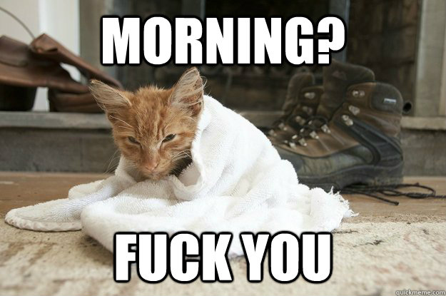 Morning? Fuck you - Morning? Fuck you  Misc