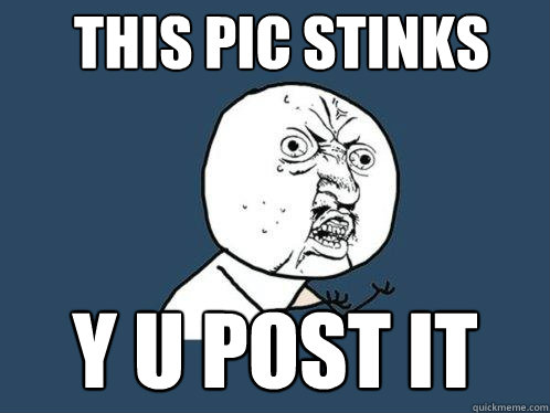 this pic stinks y u post it  Y U No