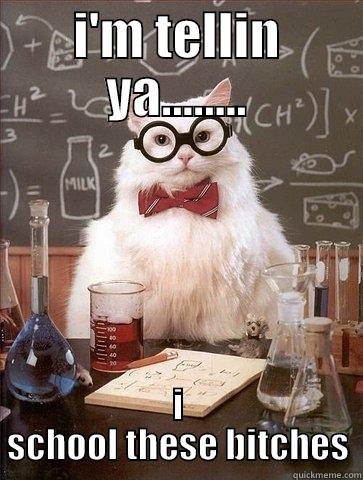 I'M TELLIN YA........ I SCHOOL THESE BITCHES Chemistry Cat