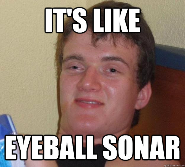 it's like eyeball sonar - it's like eyeball sonar  10 Guy