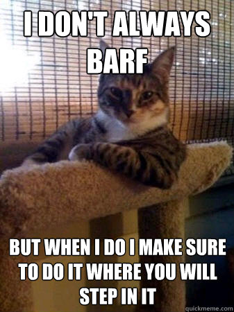 I don't always barf But when I do I make sure to do it where you will step in it  The Most Interesting Cat in the World