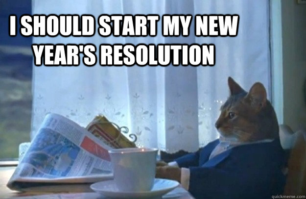 I should start my new year's resolution  Sophisticated Cat