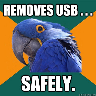 Removes USB . . . Safely.  Paranoid Parrot