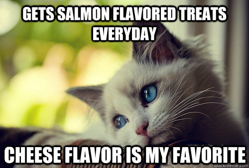 gets salmon flavored treats everyday cheese flavor is my favorite - gets salmon flavored treats everyday cheese flavor is my favorite  First World Cat Problems