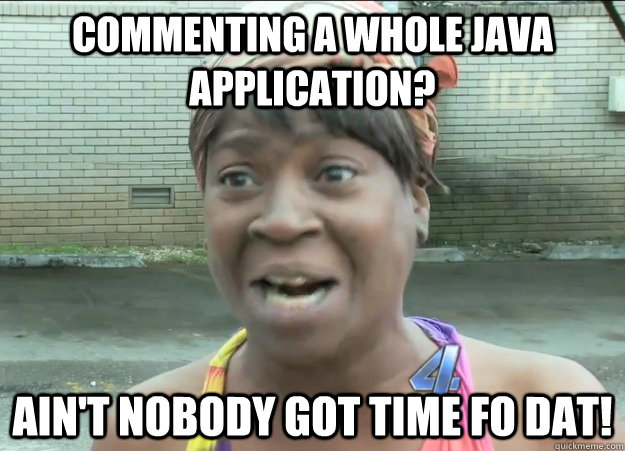 Commenting a whole java application? Ain't nobody got time fo dat! - Commenting a whole java application? Ain't nobody got time fo dat!  Cold Pop