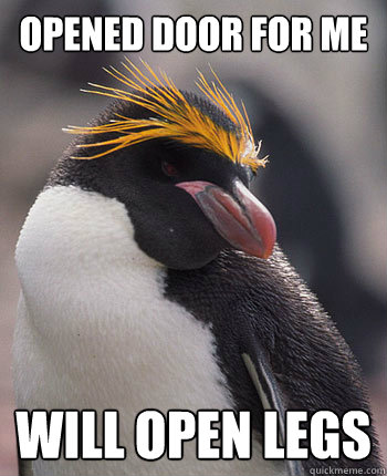 opened door for me will open legs  Socially Overconfident Penguin