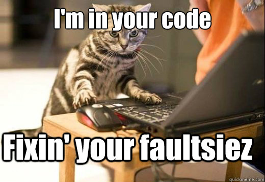 I'm in your code Fixin' your faultsiez  Angry Computer Cat