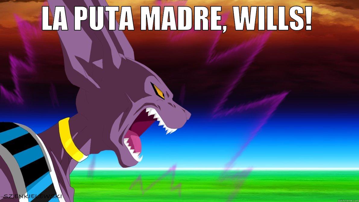 LA PUTA MADRE, WILLS!  Misc