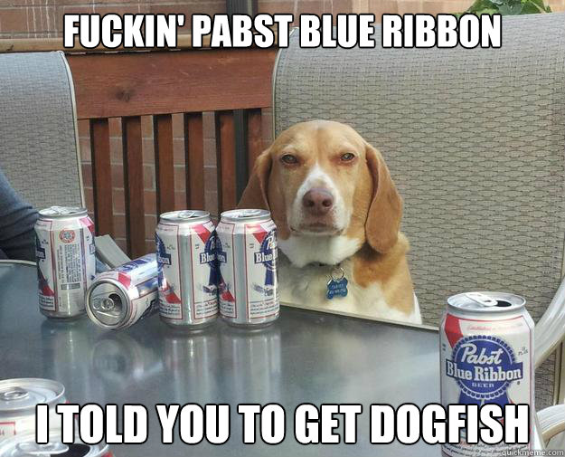 Fuckin' Pabst blue ribbon i told you to get dogfish  Drunk Judgemental Dog