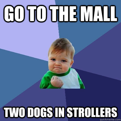 Go to the mall Two Dogs in strollers  Success Kid