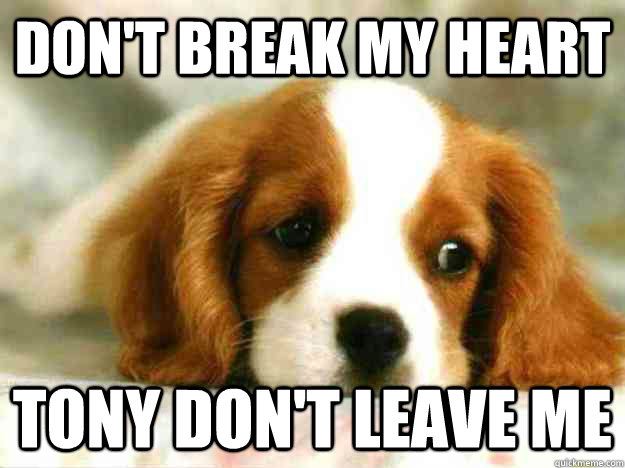 Don't Break My Heart Tony Don't leave me  Sad Dog