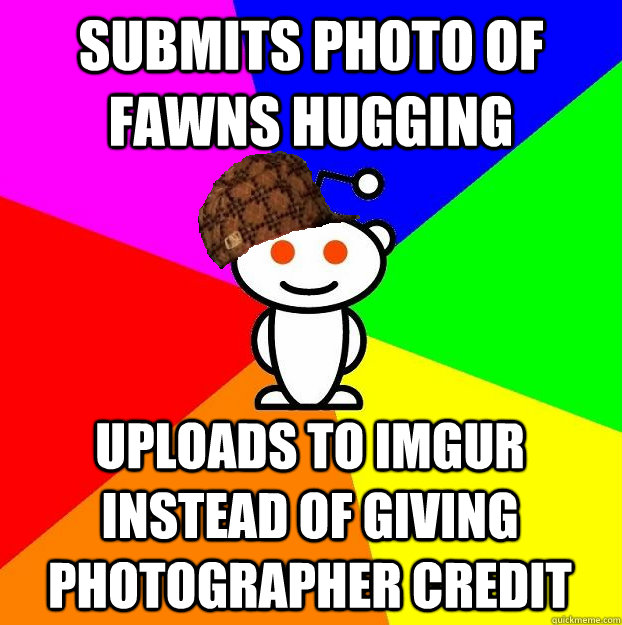 submits photo of fawns hugging uploads to imgur instead of giving photographer credit  Scumbag Redditor