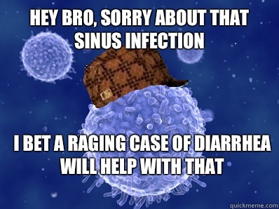 Hey bro, sorry about that sinus infection I bet a raging case of diarrhea will help with that  Scumbag immune system