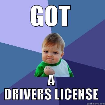 GOT A DRIVERS LICENSE Success Kid