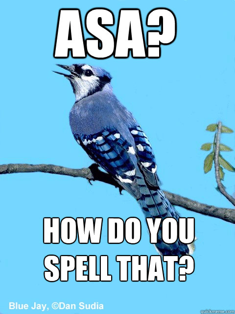 ASA? How do you spell that?  Blue Team Bird