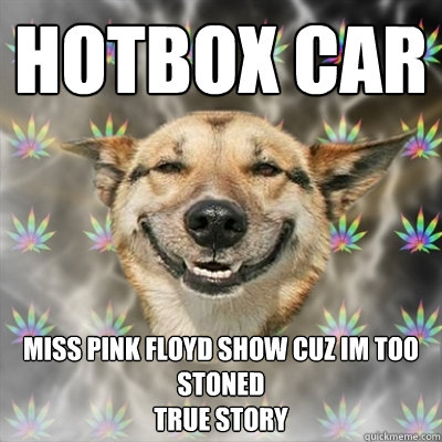 Hotbox car Miss pink floyd show cuz im too stoned
True story  Stoner Dog