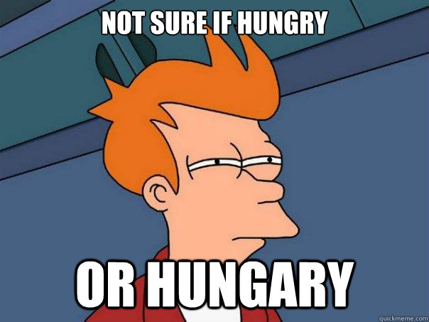 Not sure if Hungry or Hungary  Futurama Fry