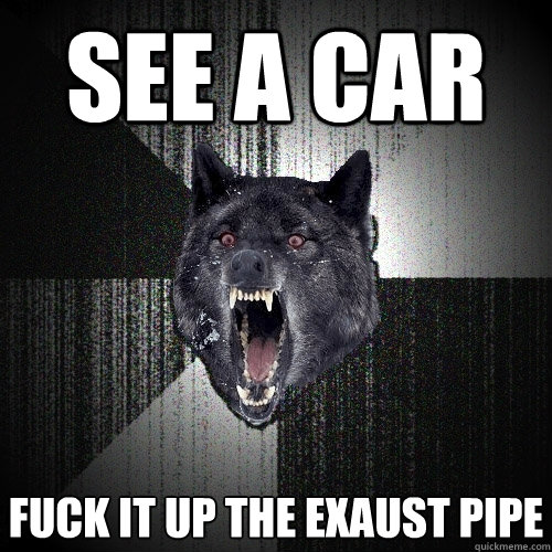 SEE A CAR FUCK IT UP THE EXAUST PIPE  Insanity Wolf